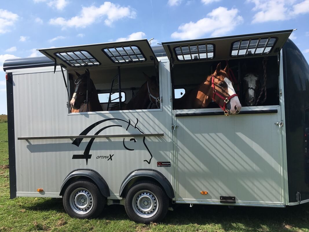 Remolque-para-4-caballos-Optimax-17.jpeg